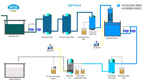 DM Process